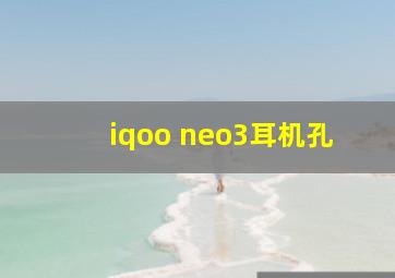 iqoo neo3耳机孔