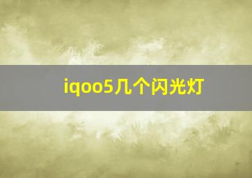 iqoo5几个闪光灯