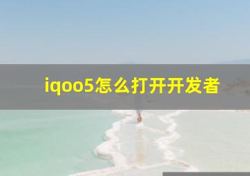 iqoo5怎么打开开发者