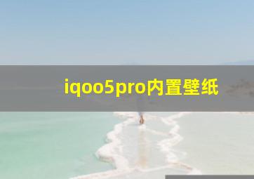 iqoo5pro内置壁纸