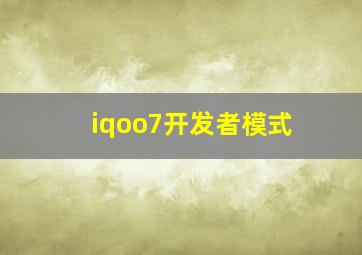 iqoo7开发者模式