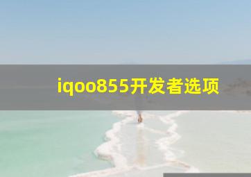 iqoo855开发者选项