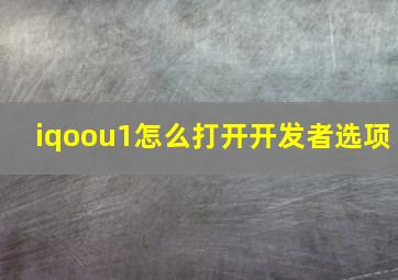 iqoou1怎么打开开发者选项