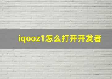 iqooz1怎么打开开发者