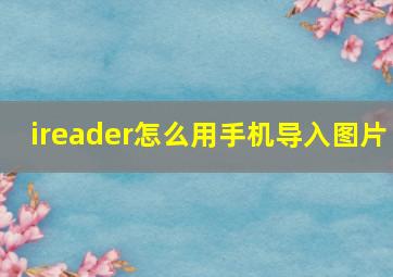 ireader怎么用手机导入图片