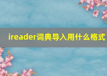 ireader词典导入用什么格式