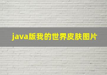 java版我的世界皮肤图片