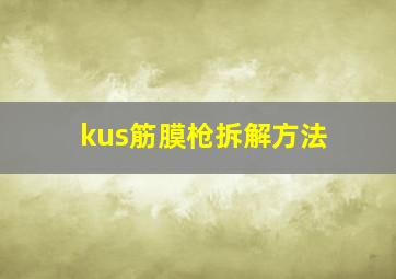 kus筋膜枪拆解方法