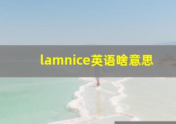 lamnice英语啥意思