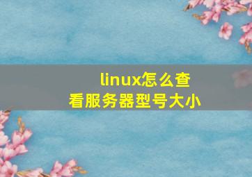 linux怎么查看服务器型号大小