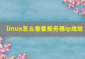 linux怎么查看服务器ip地址