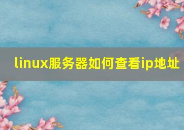 linux服务器如何查看ip地址