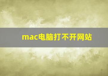 mac电脑打不开网站