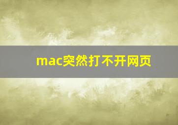 mac突然打不开网页