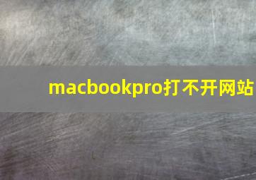 macbookpro打不开网站