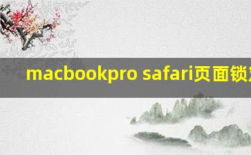 macbookpro safari页面锁定了