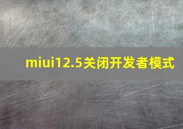 miui12.5关闭开发者模式