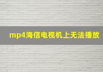 mp4海信电视机上无法播放