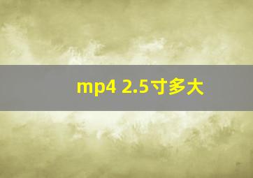 mp4 2.5寸多大