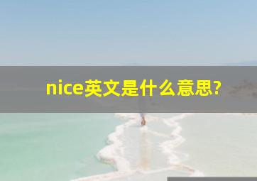 nice英文是什么意思?