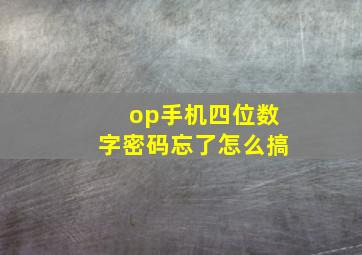 op手机四位数字密码忘了怎么搞