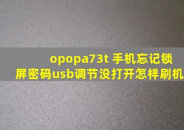 opopa73t 手机忘记锁屏密码usb调节没打开怎样刷机