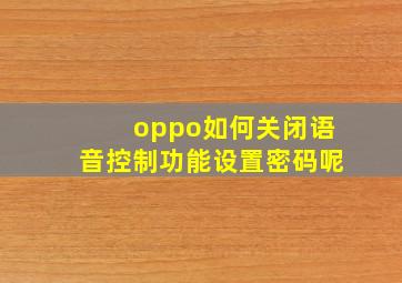 oppo如何关闭语音控制功能设置密码呢