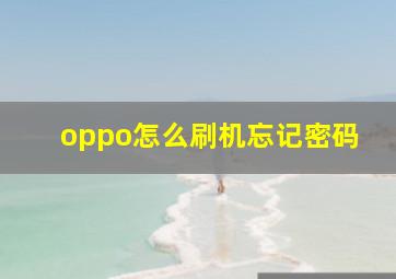 oppo怎么刷机忘记密码