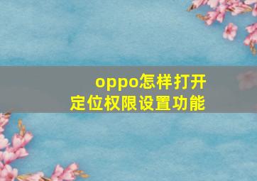 oppo怎样打开定位权限设置功能