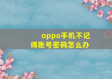 oppo手机不记得账号密码怎么办