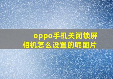 oppo手机关闭锁屏相机怎么设置的呢图片