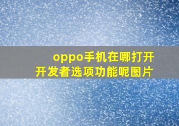 oppo手机在哪打开开发者选项功能呢图片