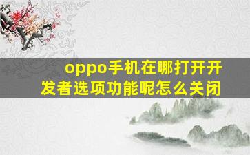 oppo手机在哪打开开发者选项功能呢怎么关闭