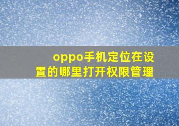 oppo手机定位在设置的哪里打开权限管理