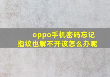 oppo手机密码忘记指纹也解不开该怎么办呢