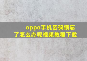 oppo手机密码锁忘了怎么办呢视频教程下载