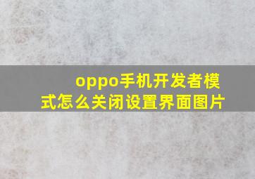 oppo手机开发者模式怎么关闭设置界面图片