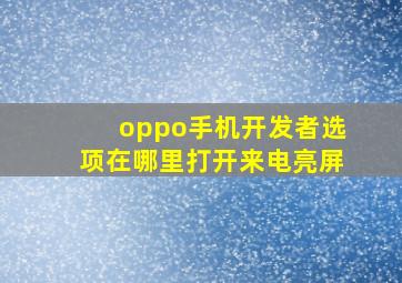 oppo手机开发者选项在哪里打开来电亮屏