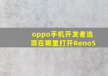 oppo手机开发者选项在哪里打开Reno5