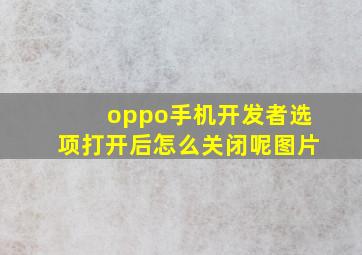 oppo手机开发者选项打开后怎么关闭呢图片