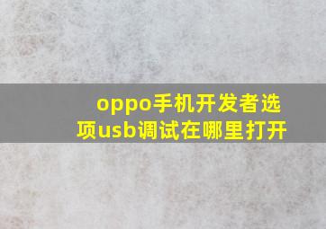 oppo手机开发者选项usb调试在哪里打开