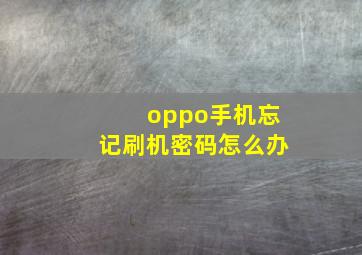 oppo手机忘记刷机密码怎么办