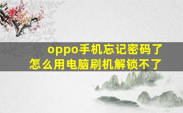 oppo手机忘记密码了怎么用电脑刷机解锁不了