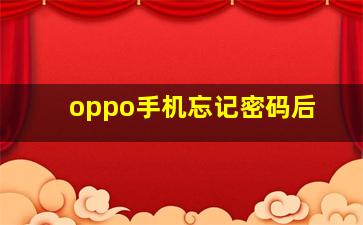 oppo手机忘记密码后