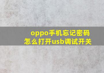 oppo手机忘记密码怎么打开usb调试开关