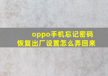 oppo手机忘记密码恢复出厂设置怎么弄回来