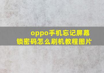 oppo手机忘记屏幕锁密码怎么刷机教程图片