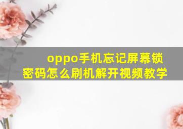 oppo手机忘记屏幕锁密码怎么刷机解开视频教学