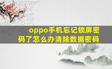 oppo手机忘记锁屏密码了怎么办清除数据密码