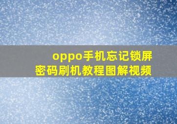 oppo手机忘记锁屏密码刷机教程图解视频